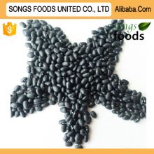 Cheap Black Kidney Beans ,Best Sell In China Market